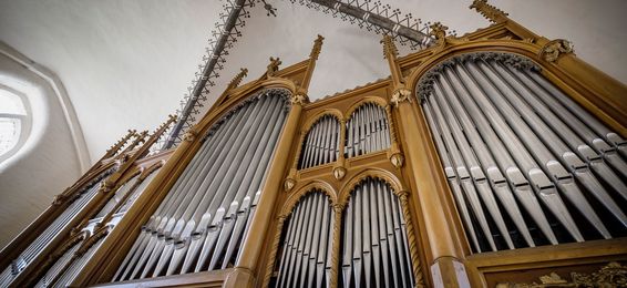 Orgel in Steinhagen, Vorpommern, Foto: Heiko Preller